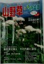 山野草　2004年初夏 VOL.44