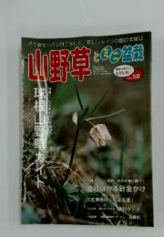 山野草とミニ盆栽　2006秋号　Vol.58