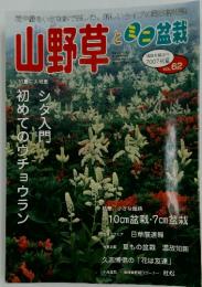 山野草とミニ盆栽　2007年7月号