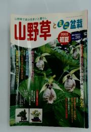 山野草とミニ盆栽　VOL. 38
