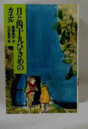 月と四十九ひきめのカエル