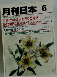 月刊日本6　5月22日号