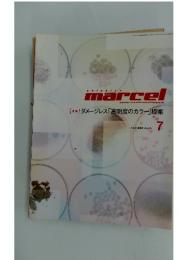 shin biyo marcel　[特集]ダメージレス「高明度のカラー」提案　2004/7
