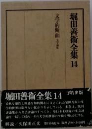 堀田善術全集　14