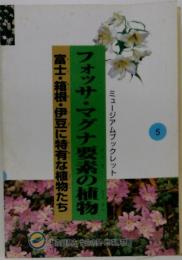 フォッサマグナ要素の植物