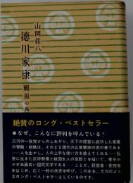 徳川家康 颶風の巻