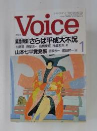 Voice　緊急特集 さらば平成大不況