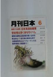 月刊日本6　暴発する原発 日本海溝投棄策 菅総理は潔く身を引くべし