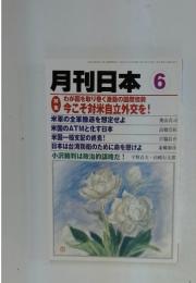 月刊日本 6