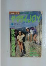 ヤマケイ JOY   夏号　No.6