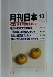 月刊日本10