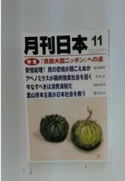 月刊日本　11