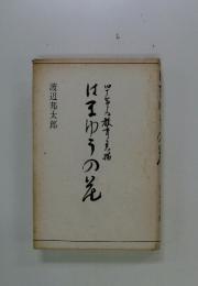 はまゆうの先