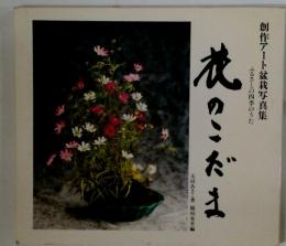 花のこだま