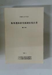 飯塚遺跡群発掘調査報告書　第IV 分冊　1986年3月号