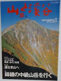 山と溪谷　 錦繍の中級山岳を行く 2002年10月号
