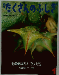たくさんのふしぎ　2005年1月号