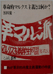革命的マルクス主義とは何か？