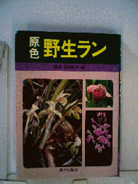 原色野生ラン