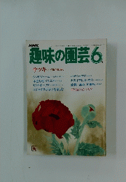 趣味の園芸　6月号