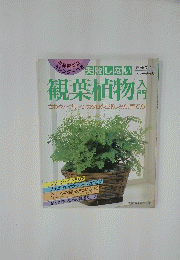失敗しない観葉植物　入門