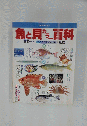 魚と貝カラー百科　春44種