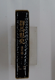 群馬県史 通史編6