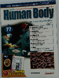 Human Body　77　2006年8月8日