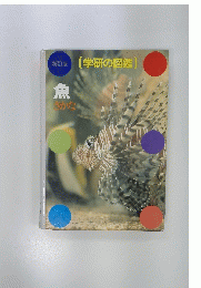 魚