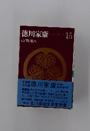 徳川家康 難波の夢の巻 15