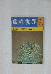 盆栽世界　1971年12月号 第20号