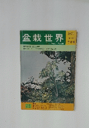 盆栽世界　1971年7月号