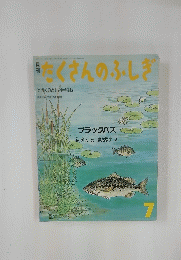 たくさんのふしぎ  1986年7月号