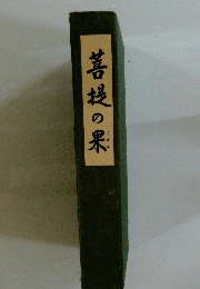 菩提の果