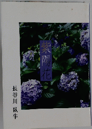紫陽花