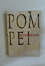 POMPEI　L'ARCHEOLOGA DEL VULCANO QUANTE POMPE SOTTO IL VESUVIO ?