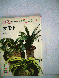 オモト