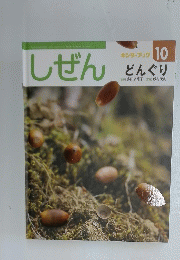 しぜん　どんぐり　平成21年10月号