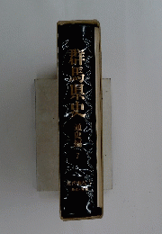 群馬県史　通史編 7