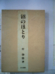 沼のほとり