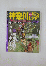 神奈川レジャー