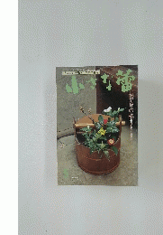 世界の古美術・骨董の情報誌 小さな蕾　1993年5月号