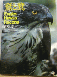 鷲と鷹　Eagles Hawks Falcons