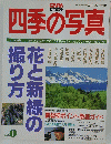 四季の写真　1994年6月号