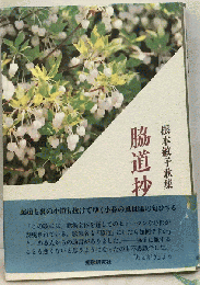 脇道抄　根本敏子歌集