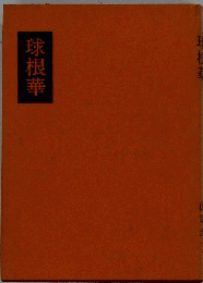 球根華