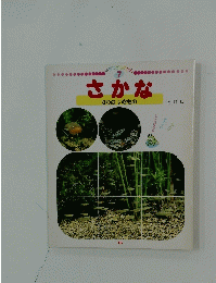 さかな　かわのいきもの