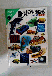 大自然の ふしぎ　魚・貝の生態図鑑