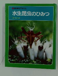 水生昆虫のひみつ　科学のアルバム