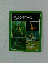 アカトンボの一生　科学のアルバム